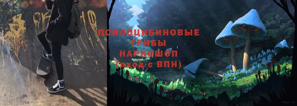 кокс Белокуриха