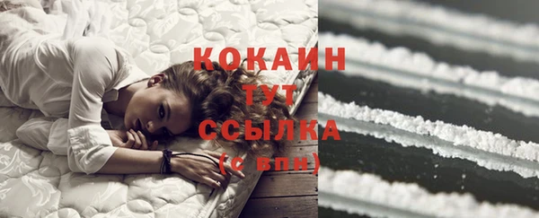 кокс Белокуриха