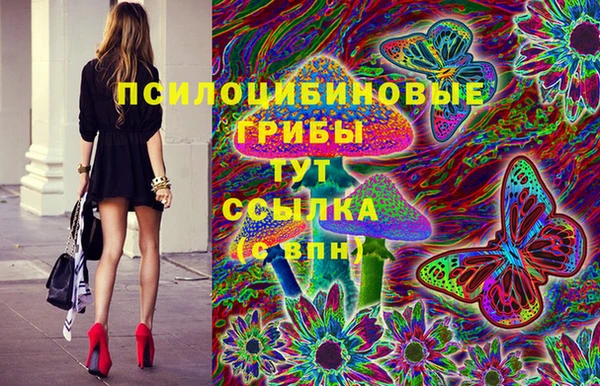 мяу мяу мука Белоозёрский